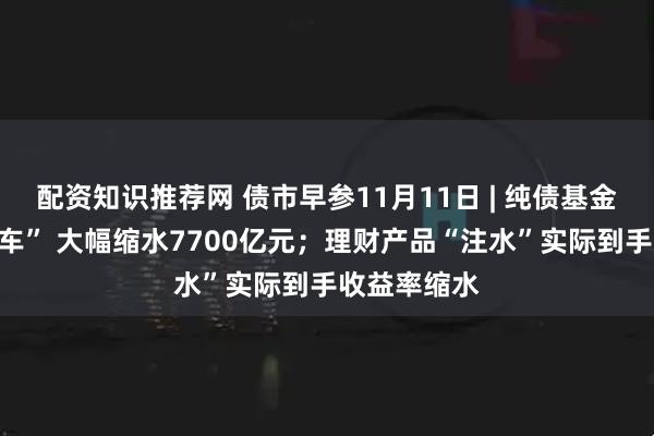 配资知识推荐网 债市早参11月11日 | 纯债基金规模遇“刹车” 大幅缩水7700亿元;理财产品“注水”实际到手收益率缩水