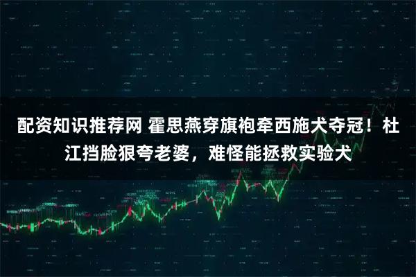 配资知识推荐网 霍思燕穿旗袍牵西施犬夺冠！杜江挡脸狠夸老婆，难怪能拯救实验犬